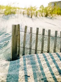 landscape photographer savannah georgia