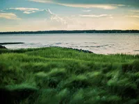 landscape photographer savannah georgia