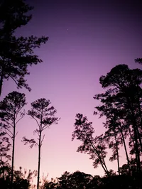 savannah corporate video